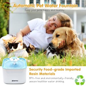 Pet Fountain Cat Water Dispenser – Healthy and Hygienic Drinking Fountain